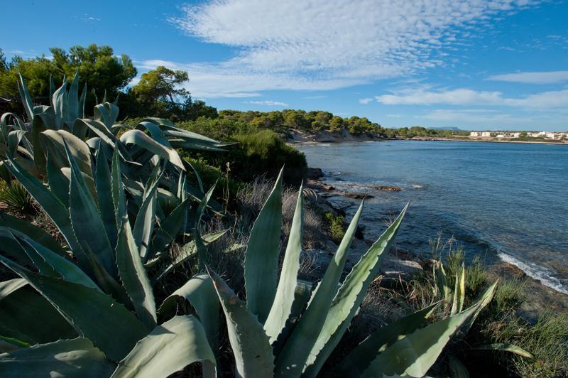 Casitas De Pescadores El Estanyol Екстериор снимка